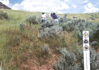 East Canyon - Hastings Cutoff