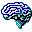 brain
