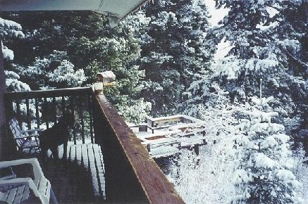 backdeck.JPG (60694 bytes)