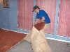 HPIM0987.JPG