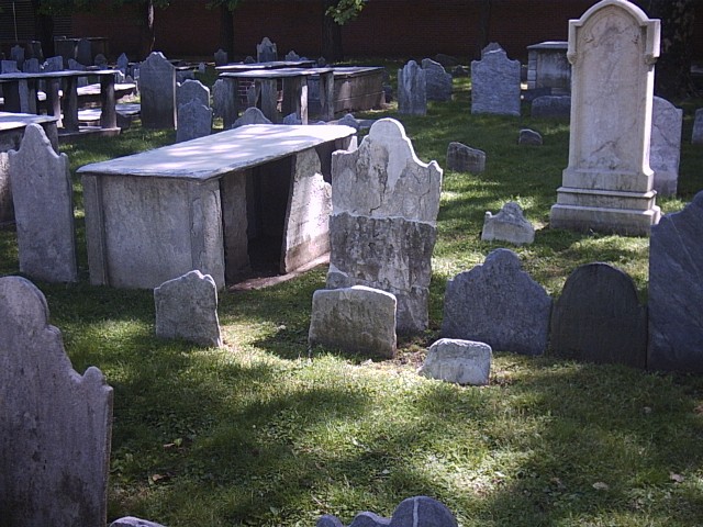photo11.jpg