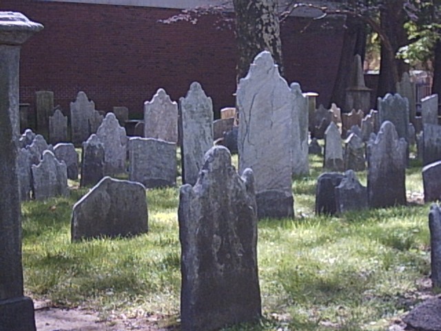 photo12.jpg