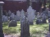 photo12.jpg