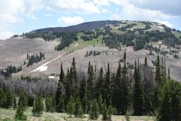 The south ridge, with dead whitebark pines [sun jul 4 13:37:53 mdt 2021]