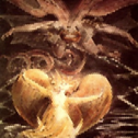 The Marriage of Heaven &#38; Hell