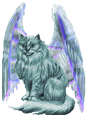 It was a cat - a funny cat with wings!
