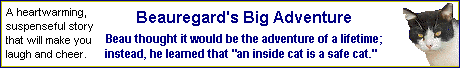 Beauregard's Big Adventure link banner