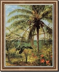 Palm Tree, Nassau