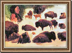 Studies of Bison