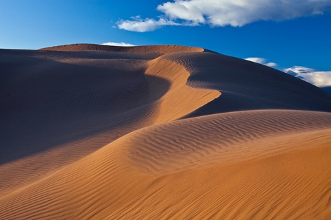 LittleSahara06