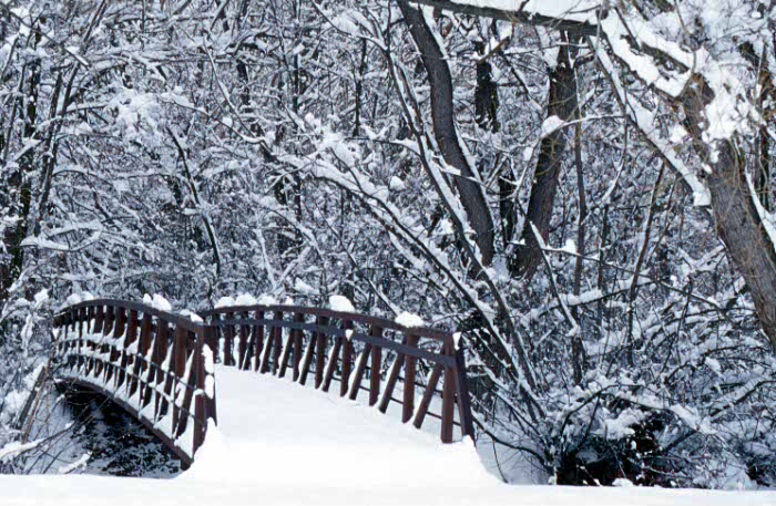 Snow Bridge