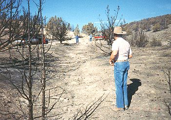 Roy Tea Swale After Burn E Side of Cedars2.jpg (38939 bytes)