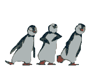 Penguins02