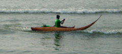 Canoeing in the Pacific in the infamous reed peruvian canoes.