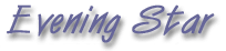 Evening Star Jewelry of the American Southwest