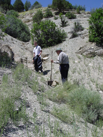 Kimball Harper and grandson weeding clay phacelia