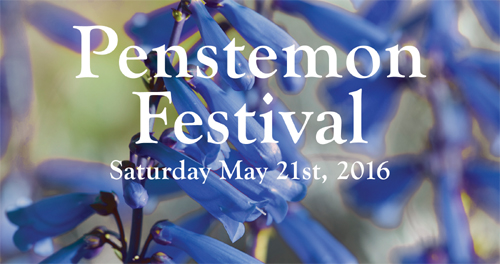 May 2016 Penstemon Festival