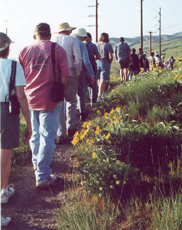 Green canyon hikers