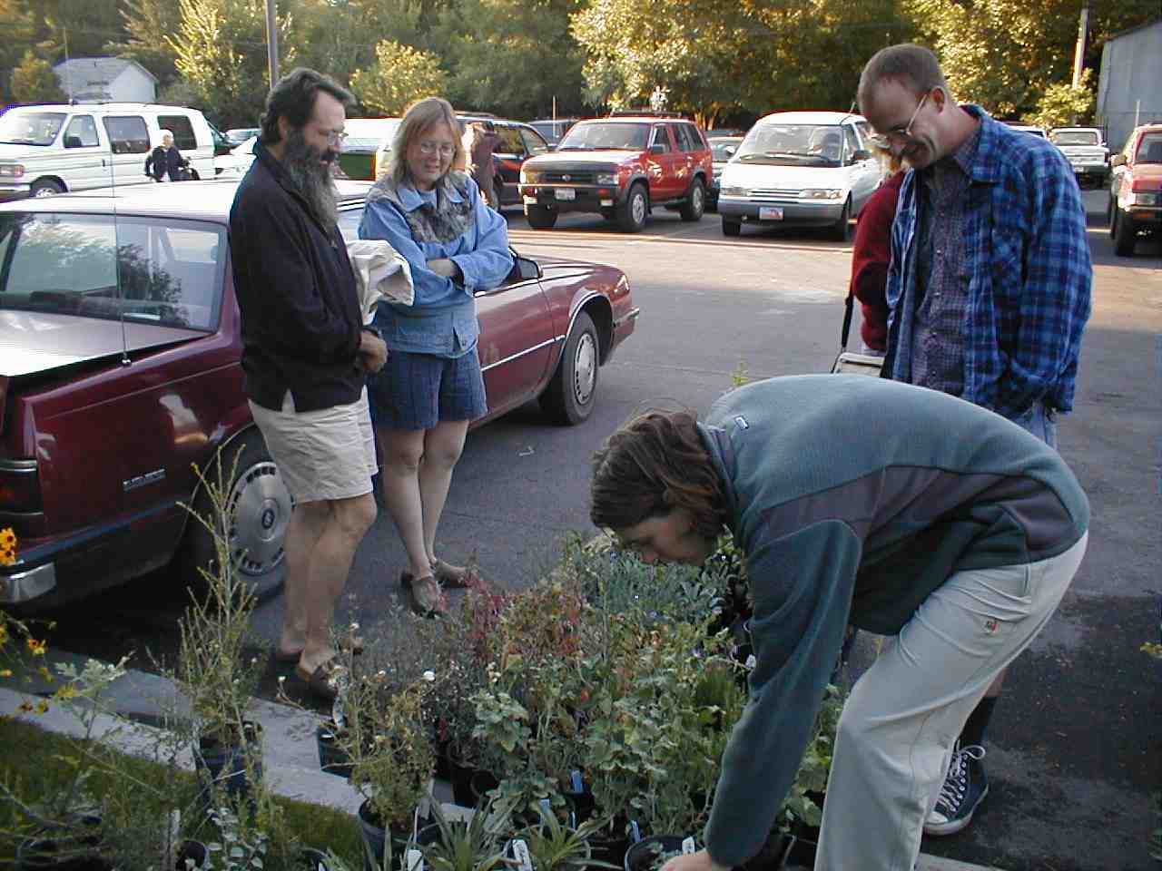 Gardener's market