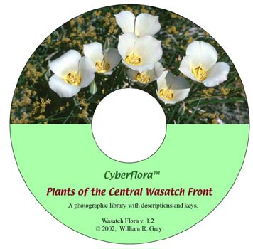 Cyberflora CD label
