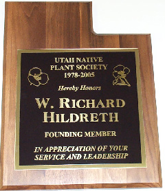 Hildreth plaque
