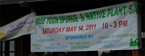 Purge Your Spurge 2011