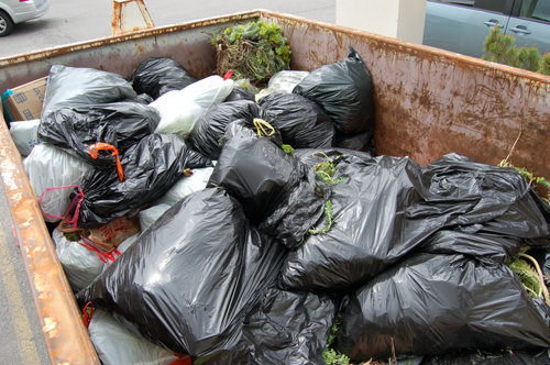 Bags of spurge exchanged 2011
