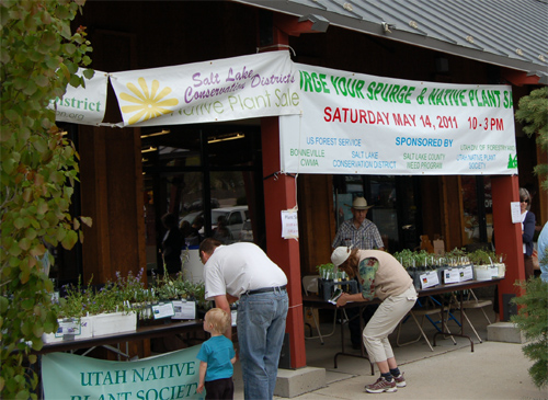 Spurge exchange and plant sale 2011