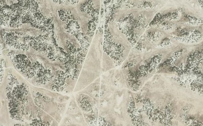 Roads in Penstemon grahamii habitat July 2006 Google Earth