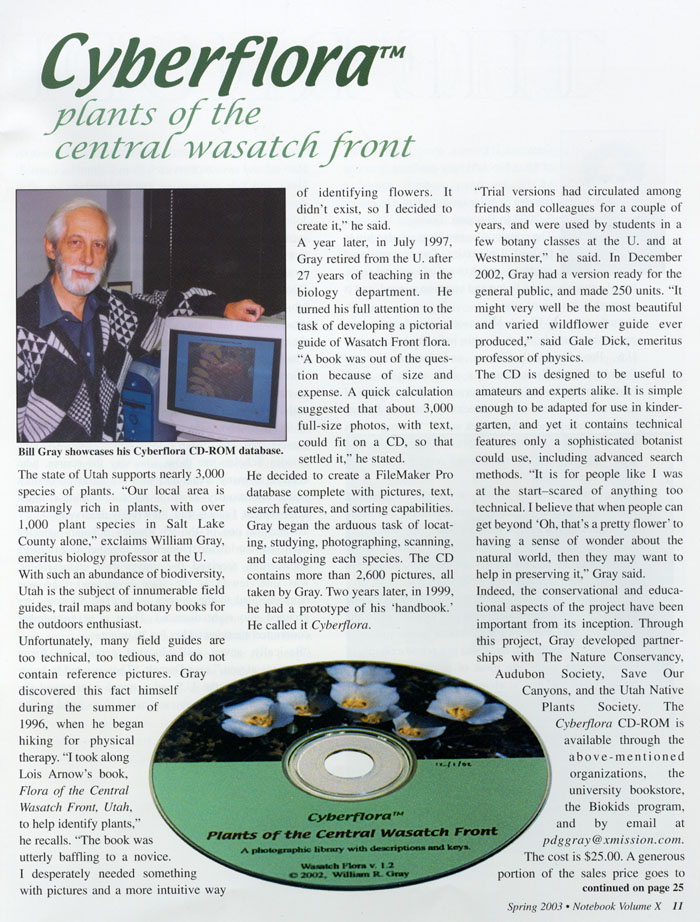Cyberflora article - page 1