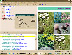 Flora ID CD