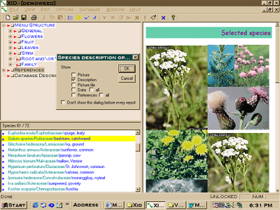 Flora ID screen shot