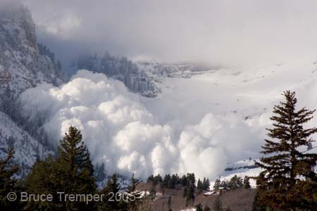 Avalanche photo at Aspen Grove