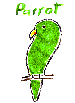 Parrot