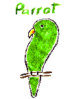 Parrot