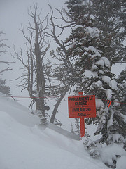 [SNOWBIRD-ALTA BOUNDARY IN BLIZZARD]