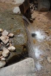 Rattlesnake creek [fri jul 4 13:18:41 mdt 2014]