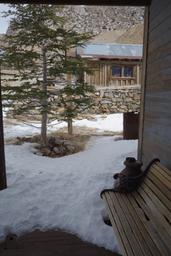 Snow on the deck [thu feb 9 13:39:25 mst 2017]