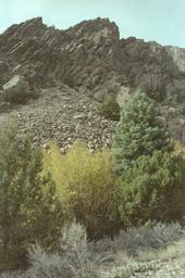 Slabs above the stream [fri oct 12 1990]