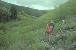 The trout peak fork [sun may 24 1992]