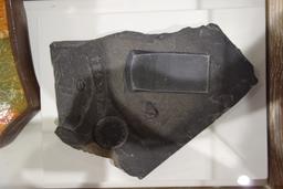 480,000,000 year old inkwell [sat oct 19 16:47:49 mdt 2019]