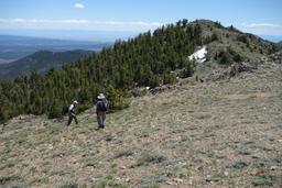 John and stanley choose a route down [sun may 28 13:57:18 mdt 2017]