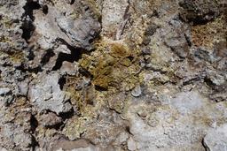 Crystals and concretions at a vent [mon may 29 13:22:57 mdt 2017]