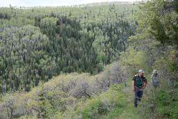Stephen and michelle in glorious foliage [sat may 26 16:38:16 mdt 2018]