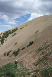 Approaching treeline with david, gretchen and michell [thu jul 5 11:52:15 mdt 2018]