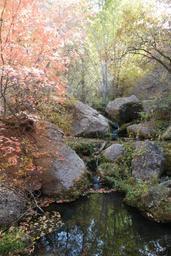 Fall colors along pigeon creek [sat oct 8 11:19:31 mdt 2016]