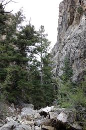 A never ending series of narrows [sun may 24 15:26:18 mdt 2015]