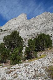 Trees and crags [sat sep 1 15:16:25 mdt 2018]