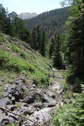 Forest and water in upper bullion canyon [mon jul 3 12:03:39 mdt 2017]