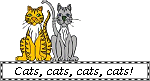 Cats, cats, cats, cats